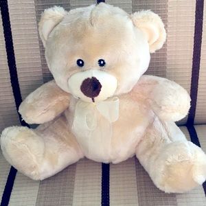 Teddy Bear NWOT